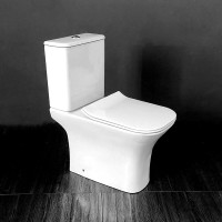 Унитаз компакт Cerutti SPA Vettore MW CT9240 Белый матовый с бачком и сиденьем Микролифт