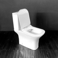 Унитаз компакт Cerutti SPA Vettore MW CT9240 Белый матовый с бачком и сиденьем Микролифт