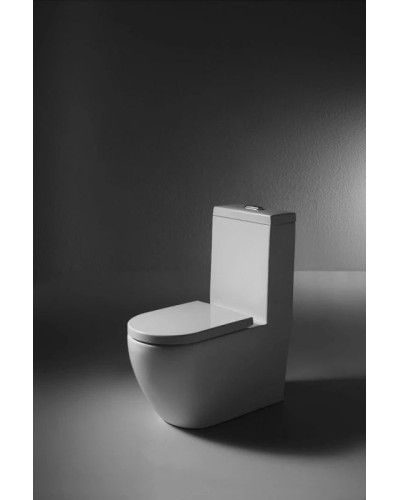 Унитаз-компакт с сиденьем микролифт Bravat Gina C02005W-3-ENG