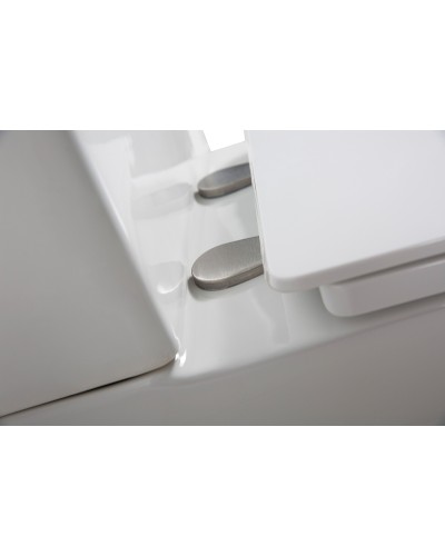 Унитаз компакт BelBagno Lounge BB045CPR/BB045/051SC без бачка с сиденьем Микролифт