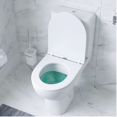 Унитаз компакт AM.PM Gem C908607SC с бачком и сиденьем Микролифт