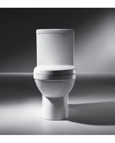 Унитаз компакт Bravat CX01014UW-P-RUS без бачка, с сиденьем Микролифт