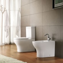 Унитаз компакт Bravat Rael CX01016UW-PA без бачка, с сиденьем Микролифт