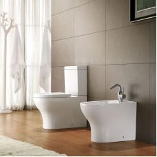 Унитаз компакт Bravat Rael CX01016UW-PA без бачка, с сиденьем Микролифт