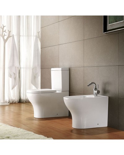 Унитаз компакт Bravat Rael CX01016UW-PA без бачка, с сиденьем Микролифт