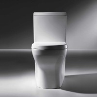 Унитаз компакт Bravat Rael CX01016UW-PA без бачка, с сиденьем Микролифт