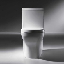 Унитаз компакт Bravat Rael CX01016UW-PA без бачка, с сиденьем Микролифт