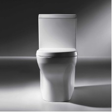 Унитаз компакт Bravat Rael CX01016UW-PA без бачка, с сиденьем Микролифт