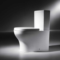 Унитаз компакт Bravat Rael CX01016UW-PA без бачка, с сиденьем Микролифт