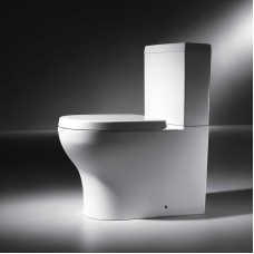 Унитаз компакт Bravat Rael CX01016UW-PA без бачка, с сиденьем Микролифт