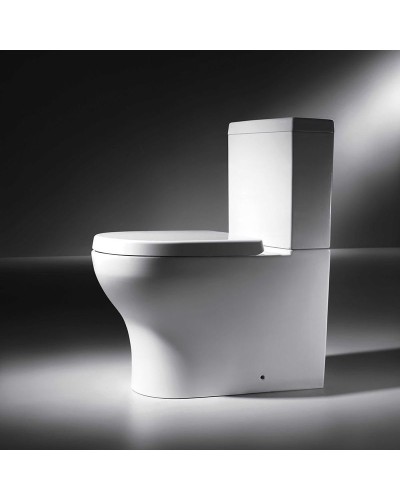 Унитаз компакт Bravat Rael CX01016UW-PA без бачка, с сиденьем Микролифт