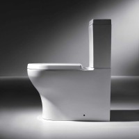 Унитаз компакт Bravat Rael CX01016UW-PA без бачка, с сиденьем Микролифт