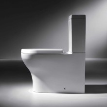 Унитаз компакт Bravat Rael CX01016UW-PA без бачка, с сиденьем Микролифт