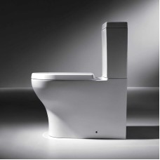 Унитаз компакт Bravat Rael CX01016UW-PA без бачка, с сиденьем Микролифт