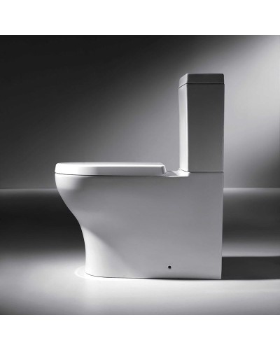 Унитаз компакт Bravat Rael CX01016UW-PA без бачка, с сиденьем Микролифт