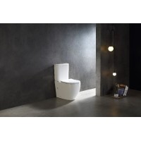 Унитаз-компакт безободковый с сиденьем микролифт SantiLine SL-5026