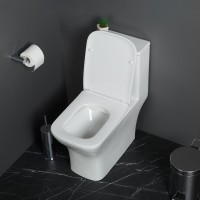 Унитаз-моноблок с сиденьем дюропласт soft close, P-trap BelBagno NEON BB8617CPR-MN/SC