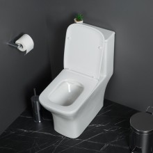 Унитаз-моноблок с сиденьем дюропласт soft close, P-trap BelBagno NEON BB8617CPR-MN/SC
