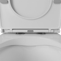 Унитаз компакт Owl 1975 Vind Cirkel-GL OWLT190301 без бачка с сиденьем Микролифт