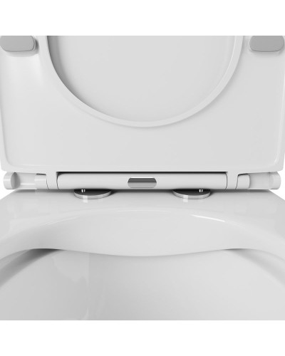 Унитаз компакт Owl 1975 Tid Cirkel-G OWLT190702 без бачка с сиденьем Микролифт