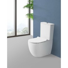 Унитаз компакт BelBagno Sfera-TR BB2128CPR без бачка и сиденья