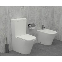 Унитаз Jacob Delafon Rodin+ UJAB102-00 без бачка и сиденья