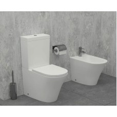 Унитаз Jacob Delafon Rodin+ UJAB102-00 без бачка и сиденья