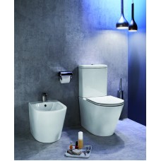 Унитаз Jacob Delafon Rodin+ UJAB102-00 без бачка и сиденья