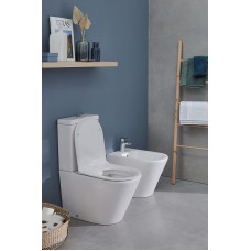 Унитаз Jacob Delafon Rodin+ UJAB102-00 без бачка и сиденья