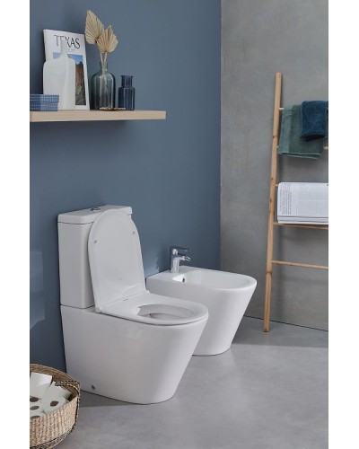 Унитаз Jacob Delafon Rodin+ UJAB102-00 без бачка и сиденья