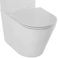 Унитаз Jacob Delafon Rodin+ UJAB102-00 без бачка и сиденья