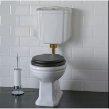 Чаша напольного унитаза с вертикальным выпуском Globo Paestum PA001.bi