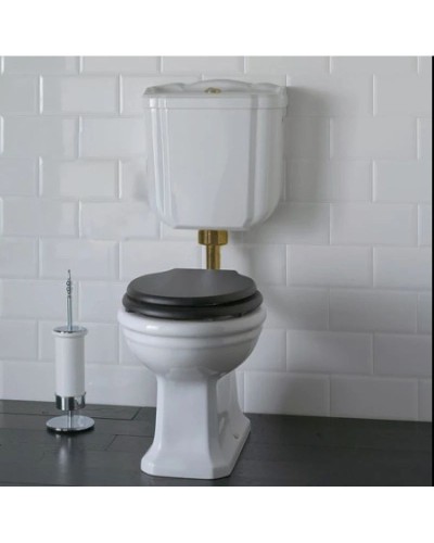 Чаша напольного унитаза с вертикальным выпуском Globo Paestum PA001.bi