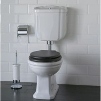 Чаша напольного унитаза с вертикальным выпуском Globo Paestum PA001.bi