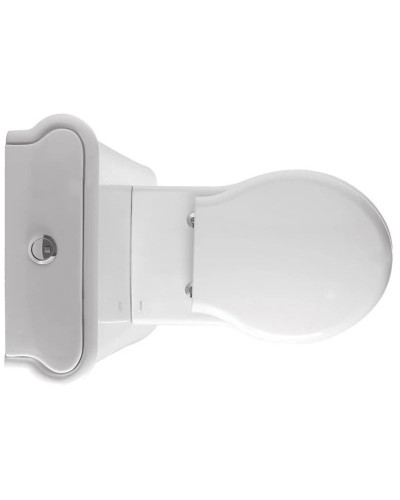 Чаша напольного унитаза Globo Paestum PA025.bi