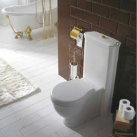 Чаша напольного унитаза Globo Paestum PA025.bi