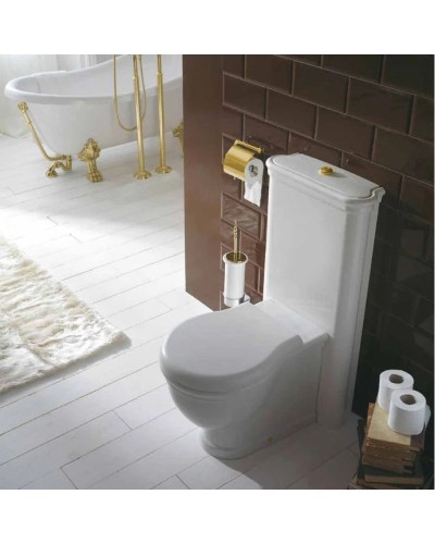 Чаша напольного унитаза Globo Paestum PA025.bi