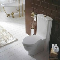 Чаша напольного унитаза Globo Paestum PA025.bi