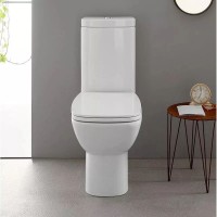 Чаша напольного унитаза Globo Daily DA003.bi