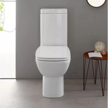 Чаша напольного унитаза Globo Daily DA003.bi