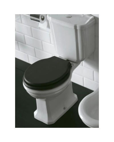 Чаша напольного унитаза Globo Paestum PA004.bi