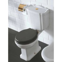 Чаша напольного унитаза Globo Paestum PA004.bi