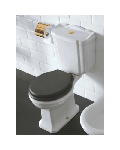 Чаша напольного унитаза Globo Paestum PA004.bi