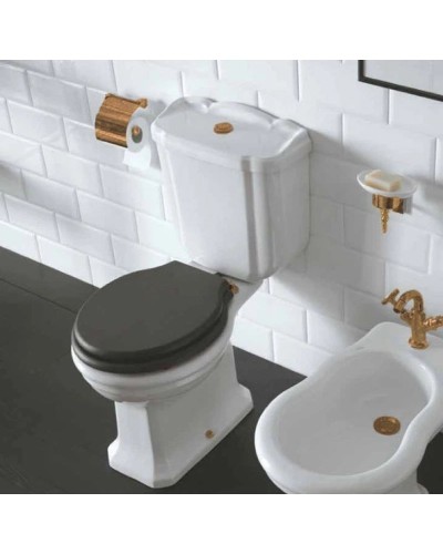 Чаша напольного унитаза Globo Paestum PA004.bi