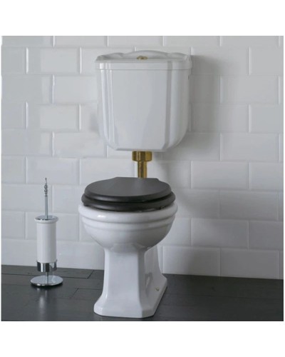 Чаша напольного унитаза Globo Paestum PA002BI