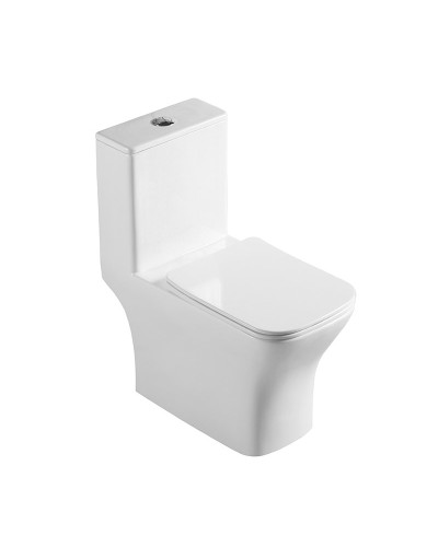 Унитаз-моноблок с сиденьем дюропласт soft close, P-trap BelBagno NEON BB8617CPR-MN/SC