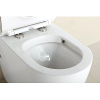 Чаша напольного безободкового унитаза BelBagno Sfera-R BB006CPR