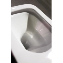 Чаша напольного унитаза BelBagno Romano BB353CPR