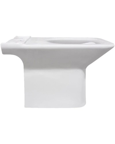 Чаша напольного унитаза BelBagno Romano BB353CPR