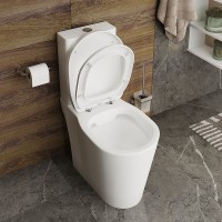 Унитаз компакт Iddis Calipso Rimless CALRDSEi24 с бачком и сиденьем Микролифт